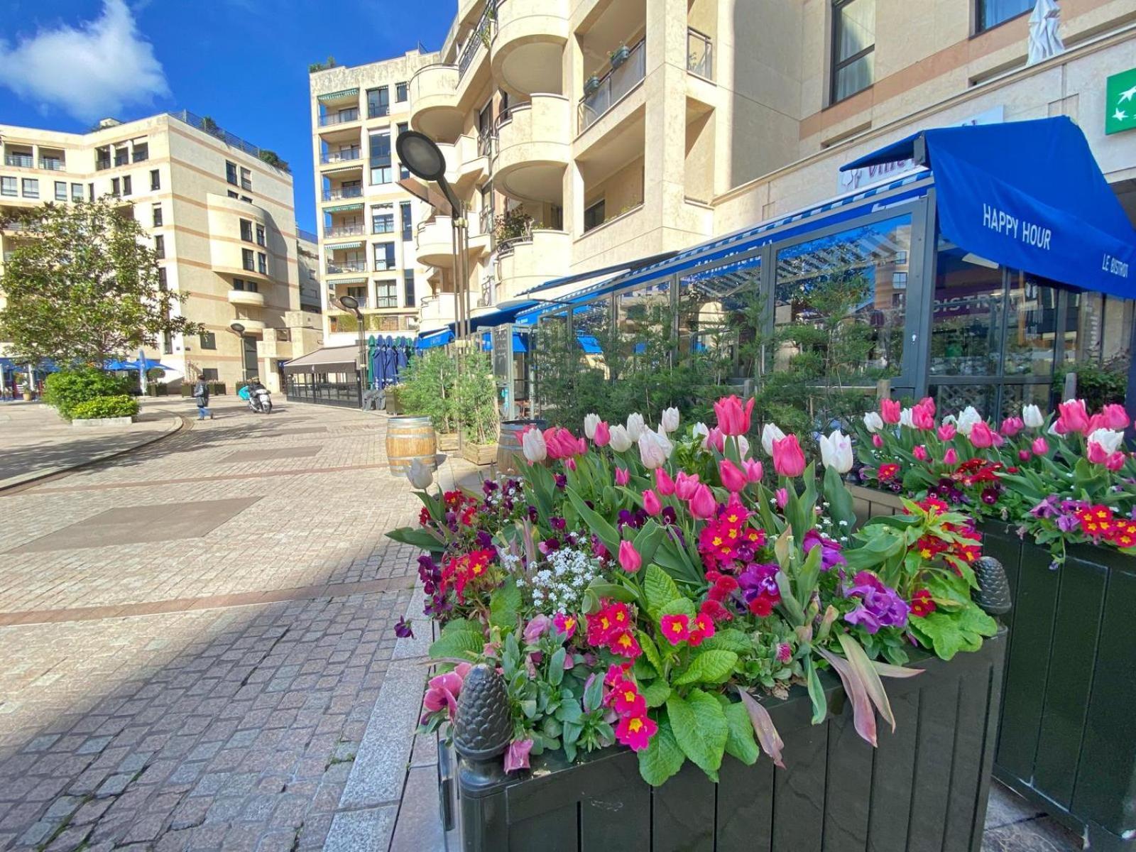 Superbe Terrasse Levallois-Perret
